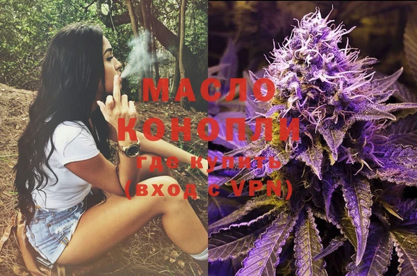 гашик Пересвет