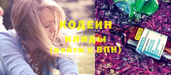 прущие грибы Елабуга