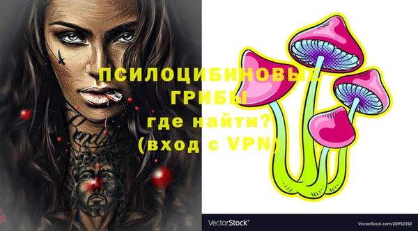 гашик Заводоуковск