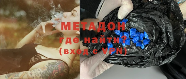 прущие грибы Елабуга