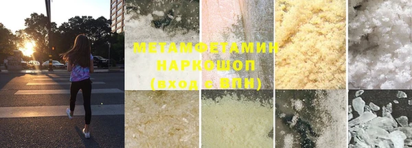 прущие грибы Елабуга