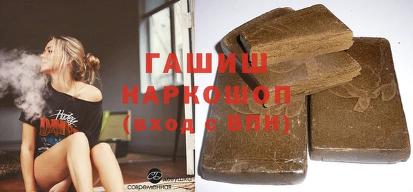 прущие грибы Елабуга