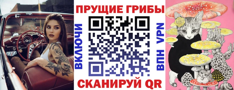 Галлюциногенные грибы Psilocybine cubensis  купить наркотик  Киреевск 