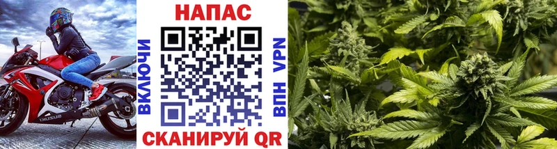 Шишки марихуана марихуана как найти закладки Киреевск